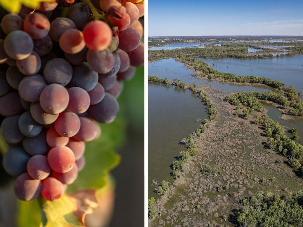 Riverland property: Why experts say it’s a steal right now
