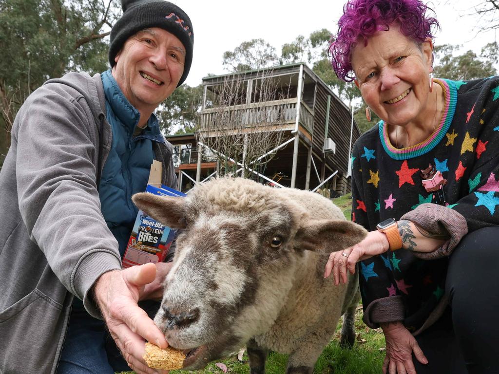 Selby home goes to auction with a disclosed reserve and a pet sheep