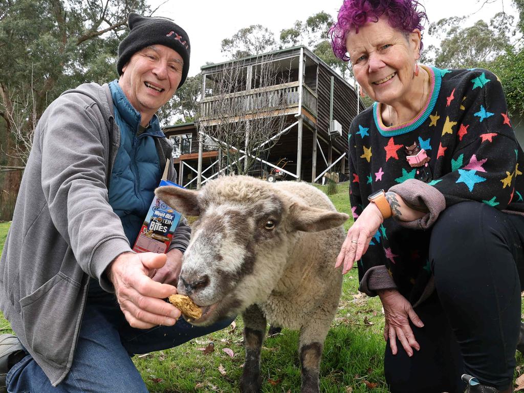 Melbourne house with free sheep smashes reserve by $100,000