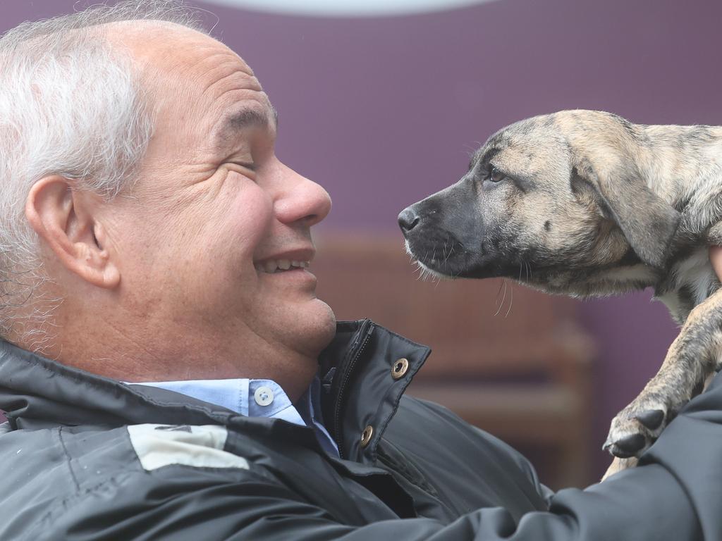 Nation-first plan to stop families giving up pets to survive