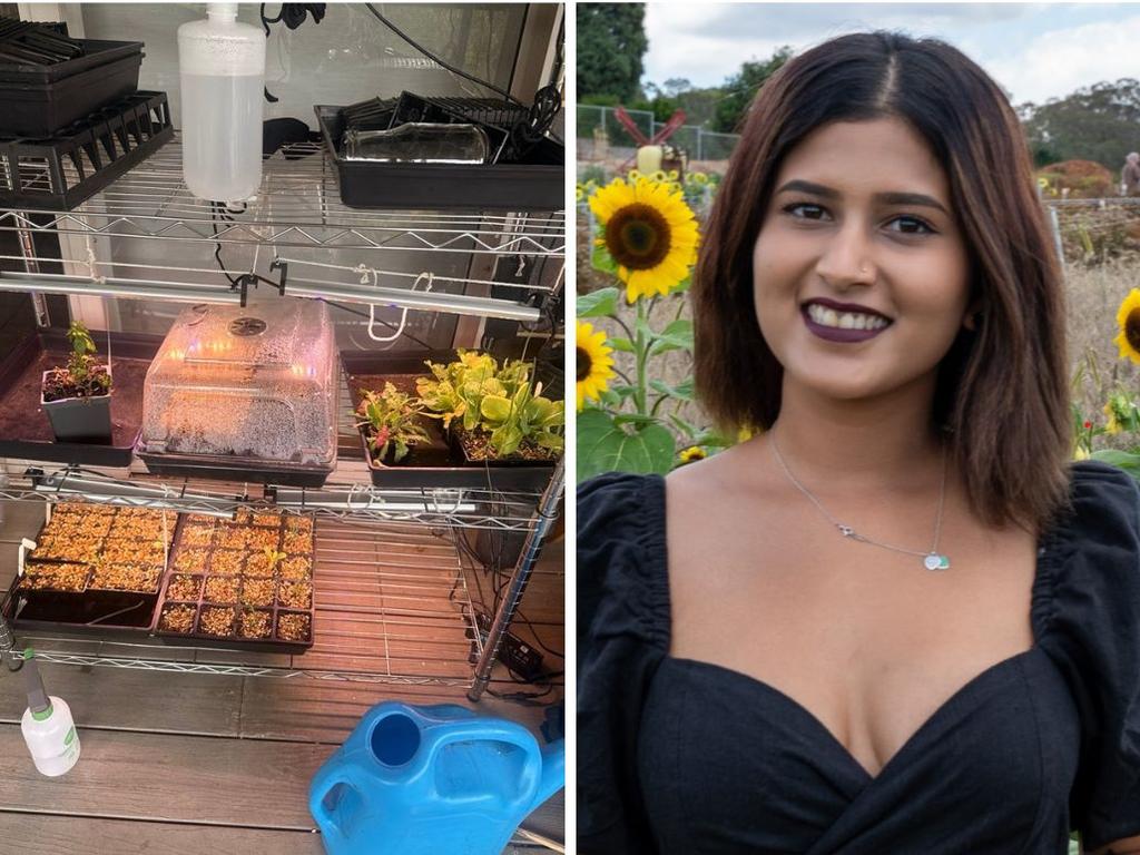 The balcony trend saving Gen Z more than $700 a year on food