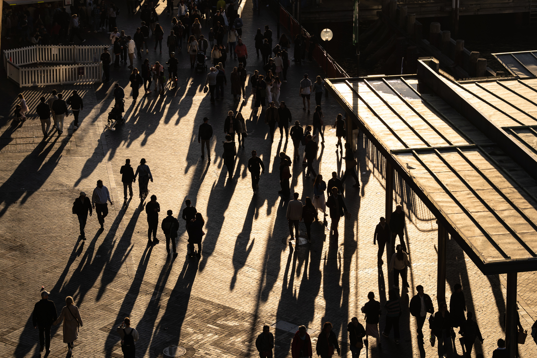 Stubborn inflation keeps November hike in focus after latest RBA increase