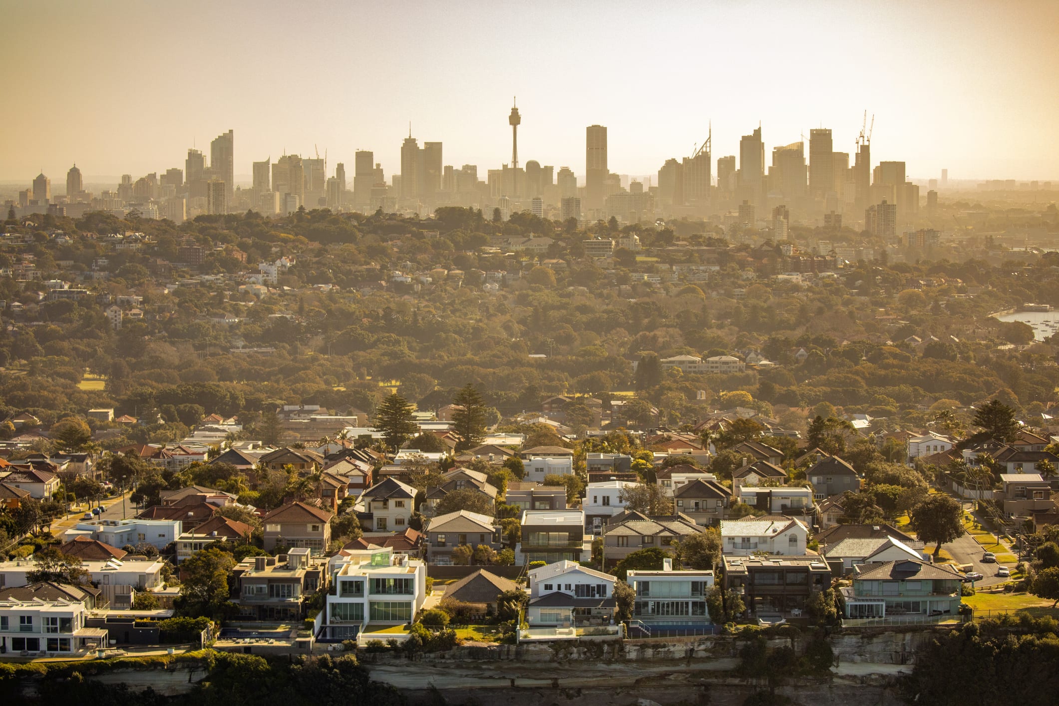What the Reserve Bank’s unexpected interest rate move means for housing markets